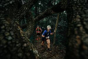 BIB: 
                            <button type="button" onclick="openModal(25685378)" class="btn btn-primary btn-sm float-right btn-popup" data-toggle="modal" data-target=".modal-high-quality">
                        <i class="fas fa-shopping-cart"></i> Add to Cart
                    </button>
                                            <button type="button" onclick="isThisMe(25685378, true)" class="btn btn-success btn-sm float-right btn-popup btn-isme hidden" data-toggle="tooltip" data-placement="bottom" title="นี่คือรูปของคุณใช่ไหม คลิกที่นี่เพื่อเอาเข้าอัลบั้ม">
                        <i class="fas fa-plus"></i> Add to album
                    </button>
                    <button type="button" onclick="isThisMe(25685378, false)" class="btn btn-warning btn-sm float-right btn-popup btn-isnotme hidden">
                        <i class="fas fa-ban"></i> Remove from album
                    </button>